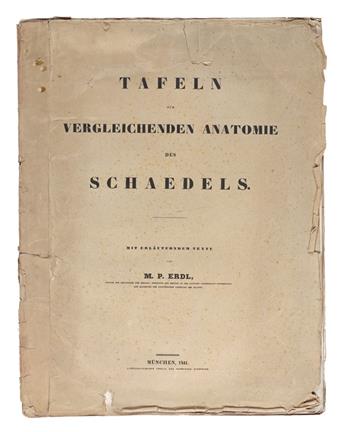 MEDICINE  ERDL, MICHAEL PIUS. Tafeln zur vergleichenden Anatomie des Schaedels.  1841